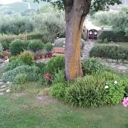 Dolce Miele * Carassai