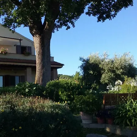 Dolce Miele Lägenhet Carassai